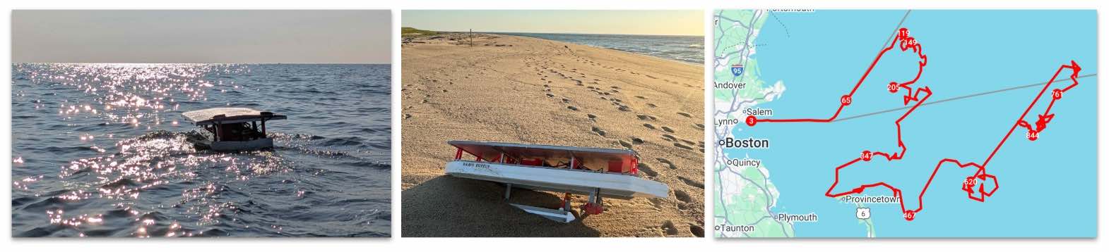 Brave Puffin 2024 mission