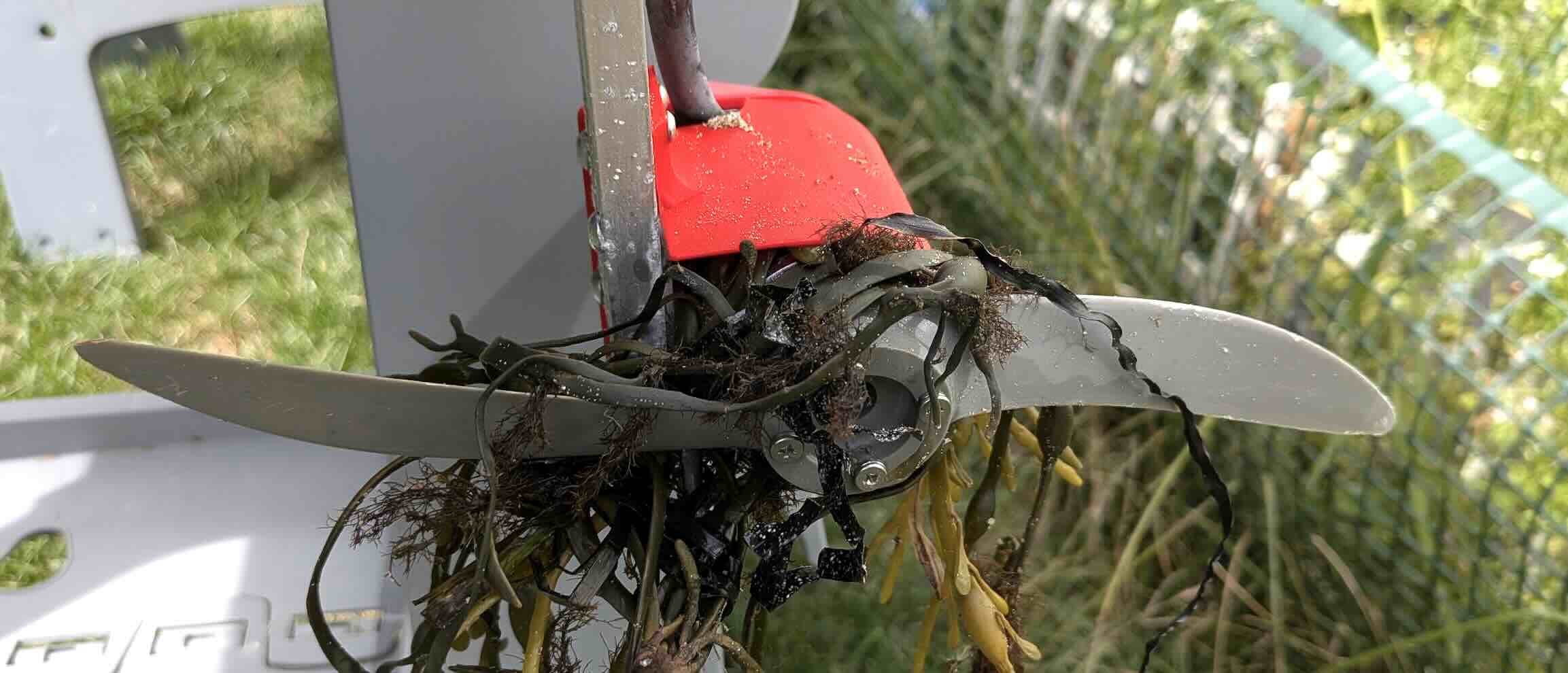 Brave Puffin 2025 seaweed fouled prop