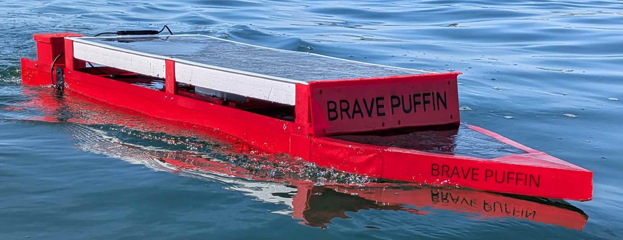 Brave Puffin 2025 in water