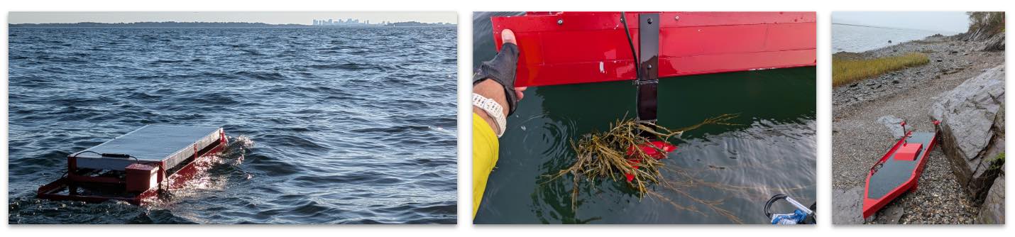 Brave Puffin 2025 mission