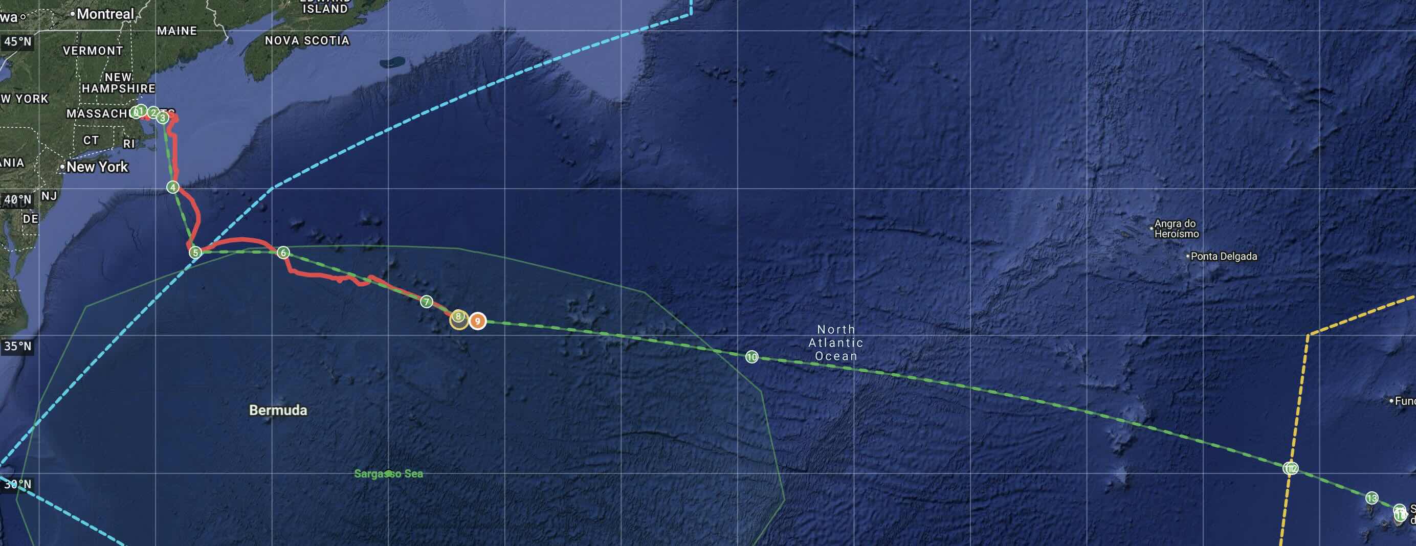 Brave Puffin 2026 progress Oct 4