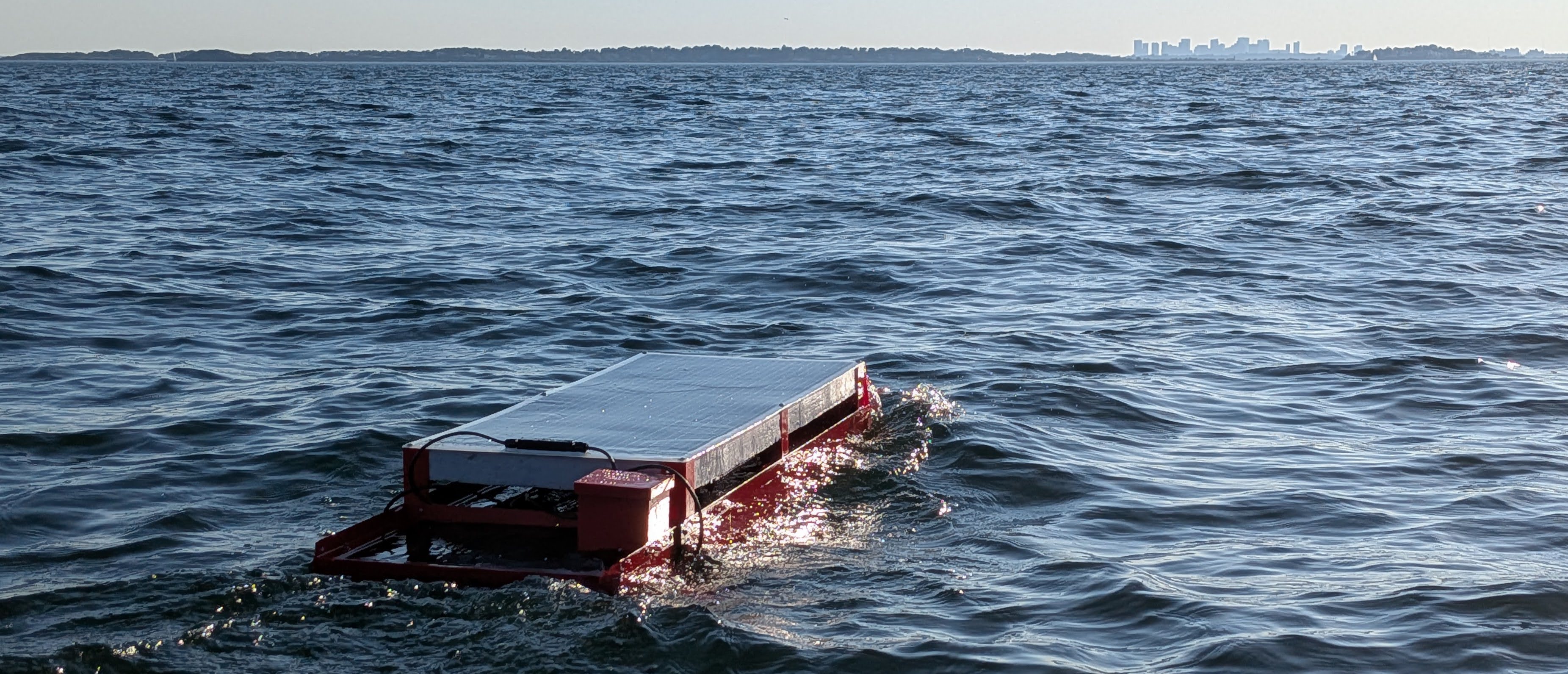 Brave Puffin on the water