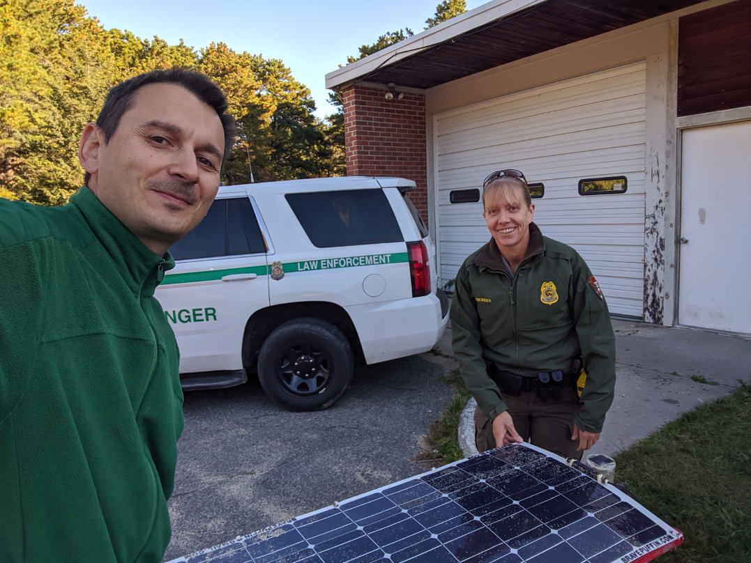 Brave Puffin is being picked up in park ranger facility on Cape Cod, October, 2019